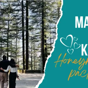 Manali Banner